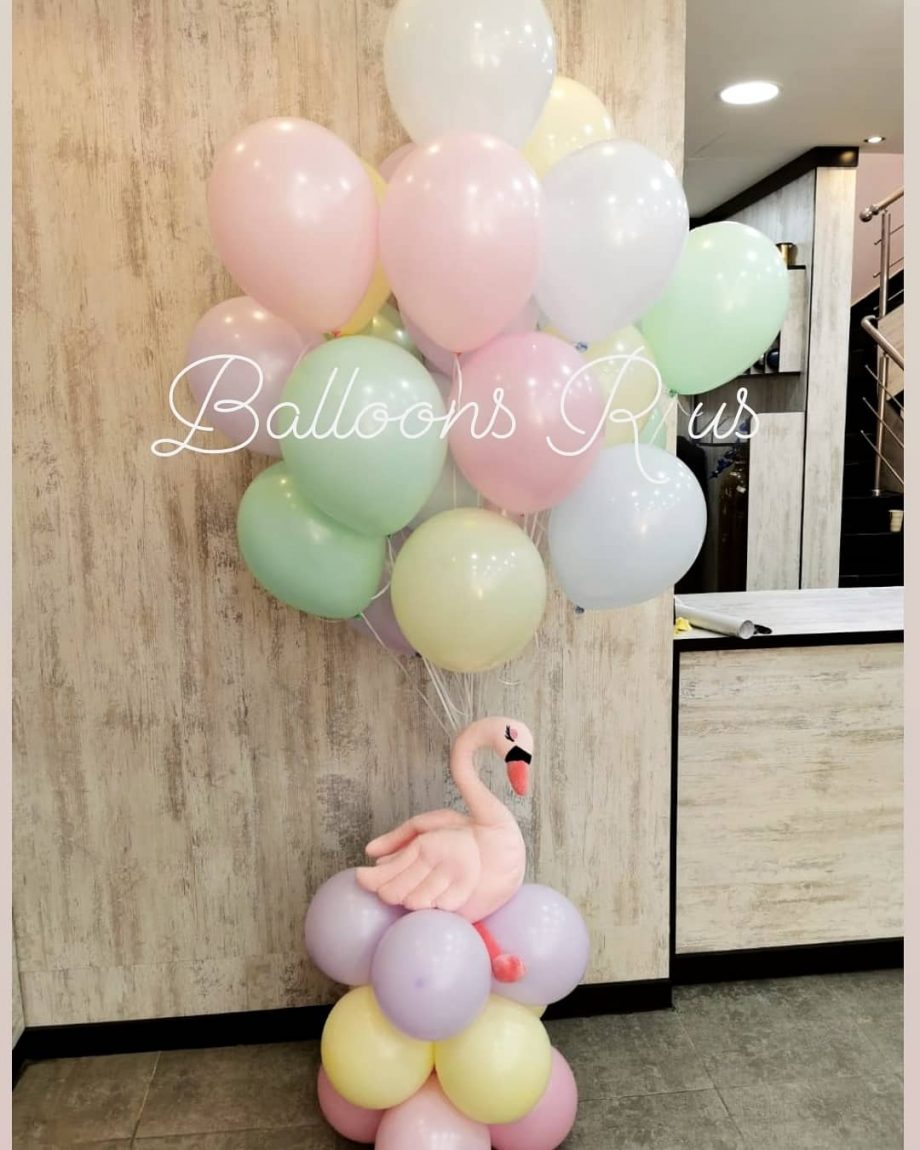 SWAN BUNCH OF PASTEL COLORS