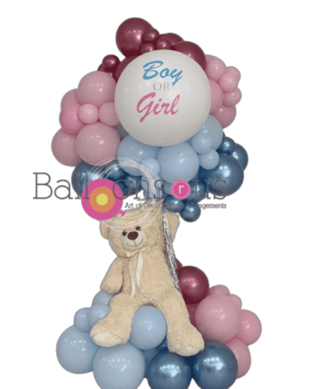 Gender Reveal Hotair Balloon