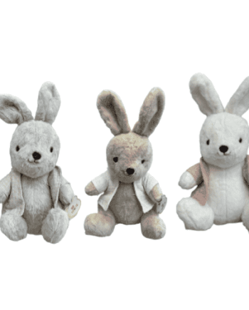 Little Bunny